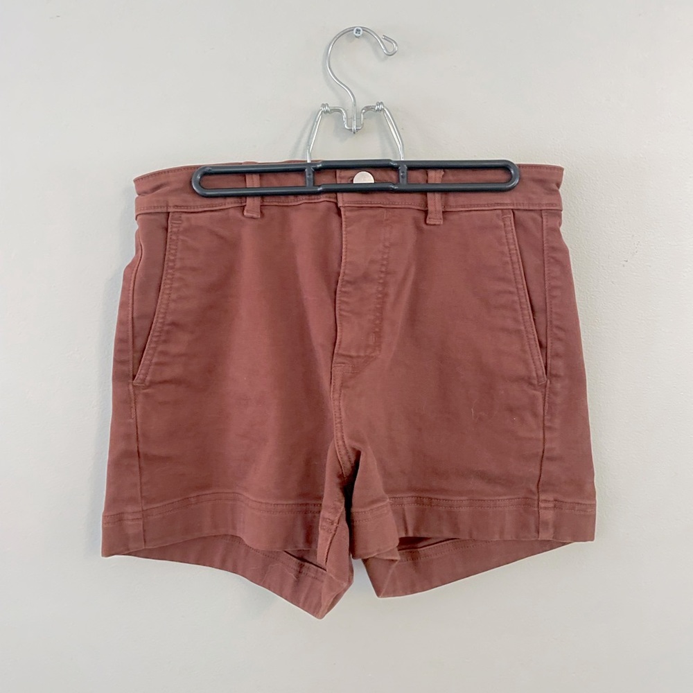 Everlane Cocoa Brown Size 4 Shorts